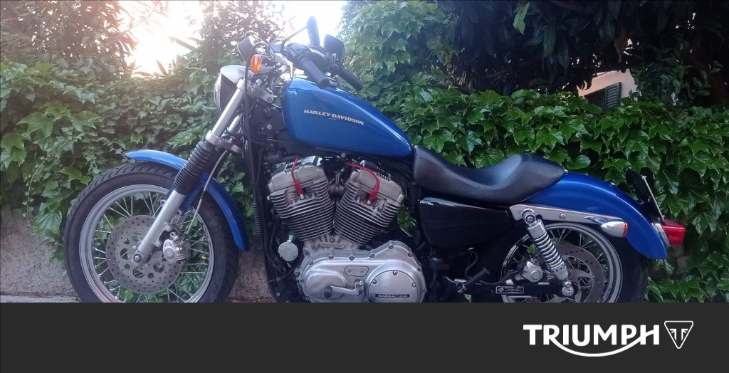 HARLEY-DAVIDSON 883 Sportster XLL Low