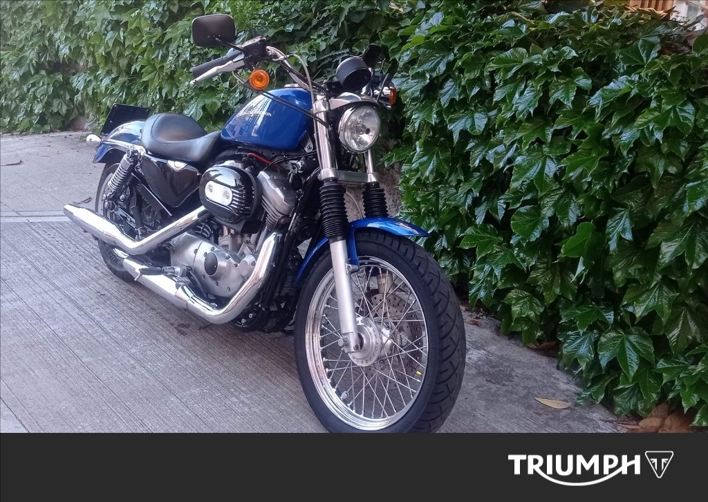 HARLEY-DAVIDSON 883 Sportster XLL Low