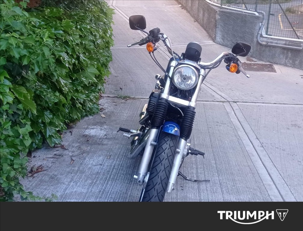 HARLEY-DAVIDSON 883 Sportster XLL Low