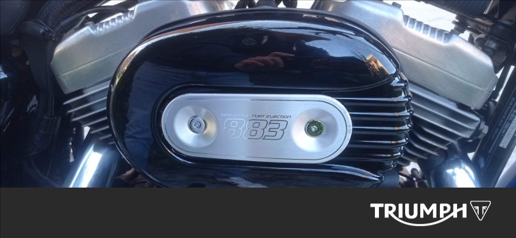 HARLEY-DAVIDSON 883 Sportster XLL Low