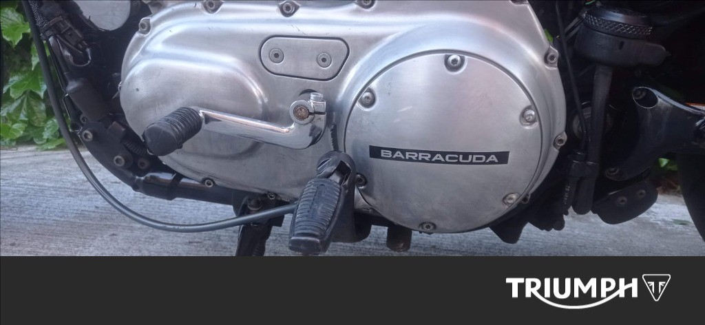 HARLEY-DAVIDSON 883 Sportster XLL Low