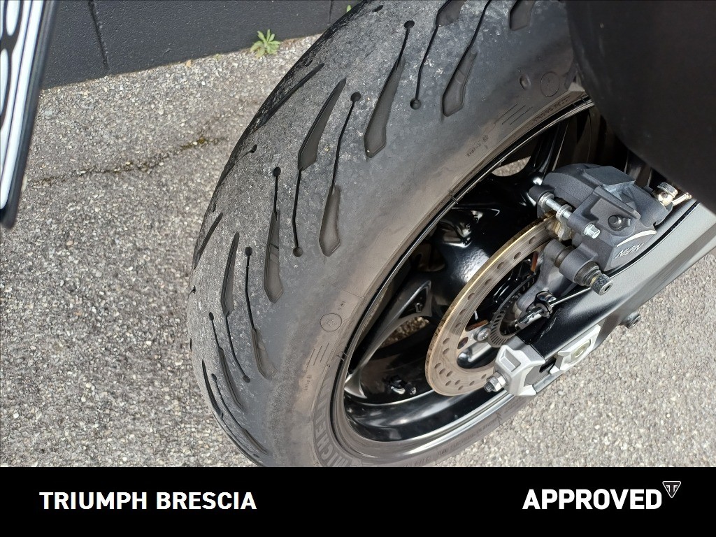 TRIUMPH Tiger Sport 660 Abs