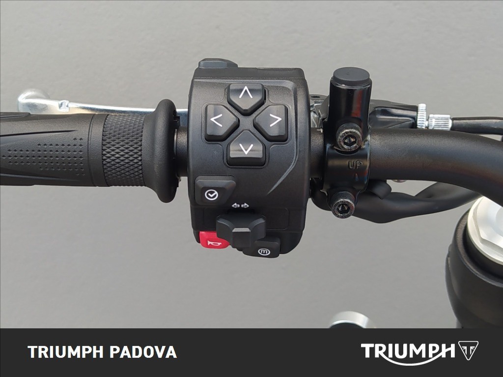 TRIUMPH Speed Twin 900 Pure White/Blue/Orange Abs