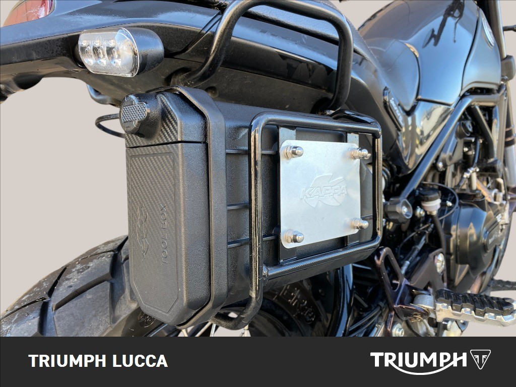 BENELLI Leoncino 500 E4