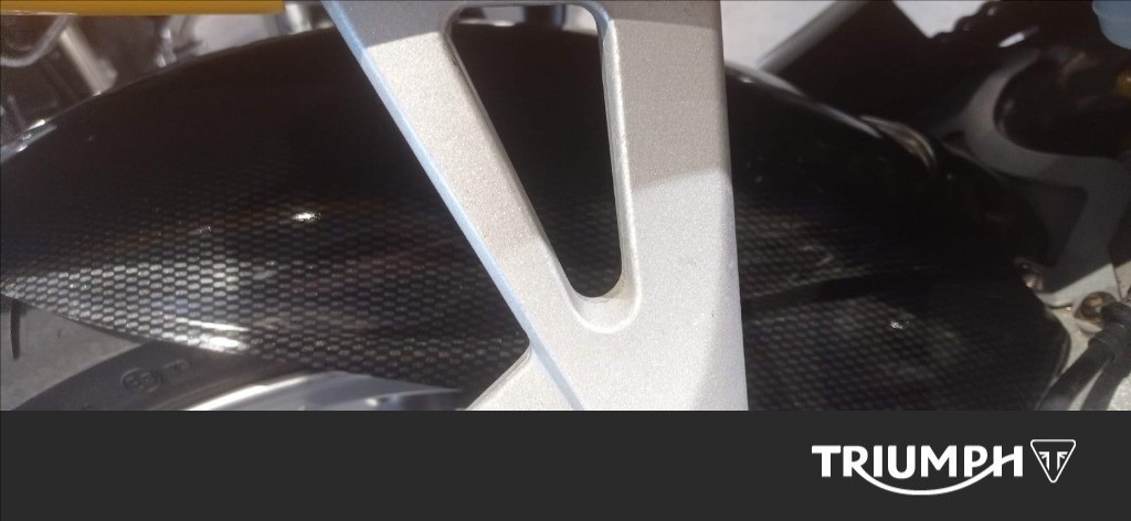 TRIUMPH Sprint 955 RS