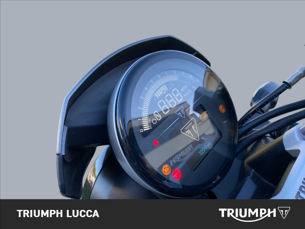 TRIUMPH Trident 660 Abs