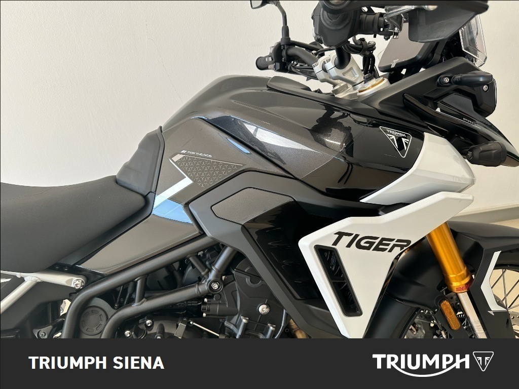 TRIUMPH Tiger 900 Rally Pro Abs #4