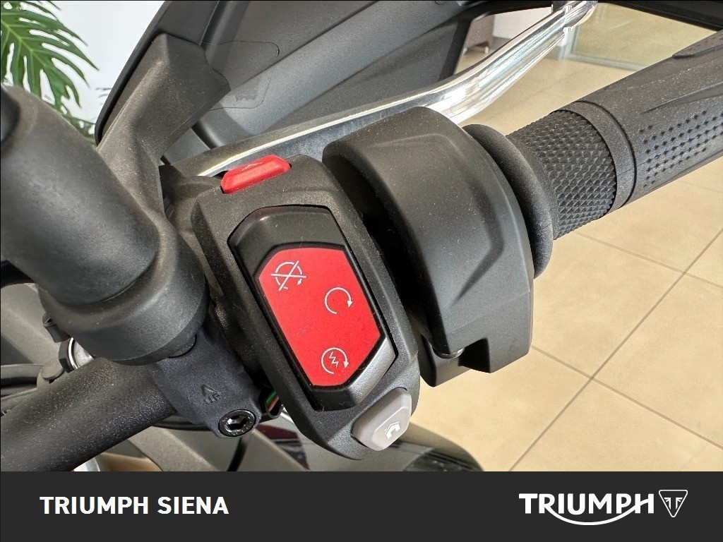 TRIUMPH Tiger 900 Rally Pro Abs #7
