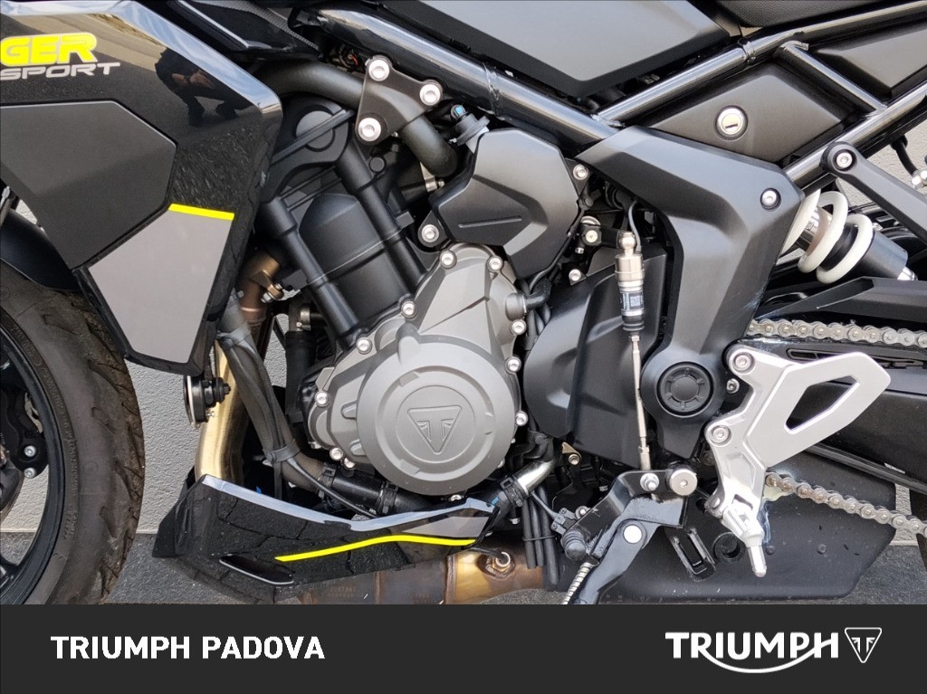 TRIUMPH Tiger Sport 800 Abs