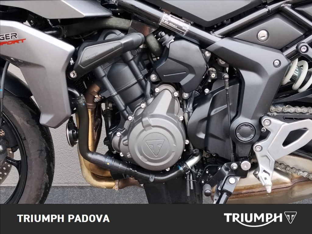 TRIUMPH Tiger Sport 660 Abs