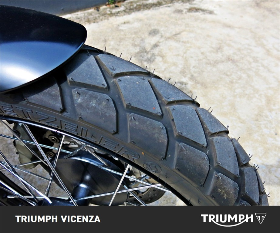 TRIUMPH Street Scrambler 900 