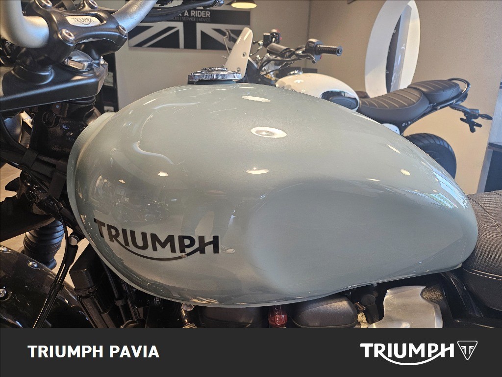 TRIUMPH Street Scrambler 900 