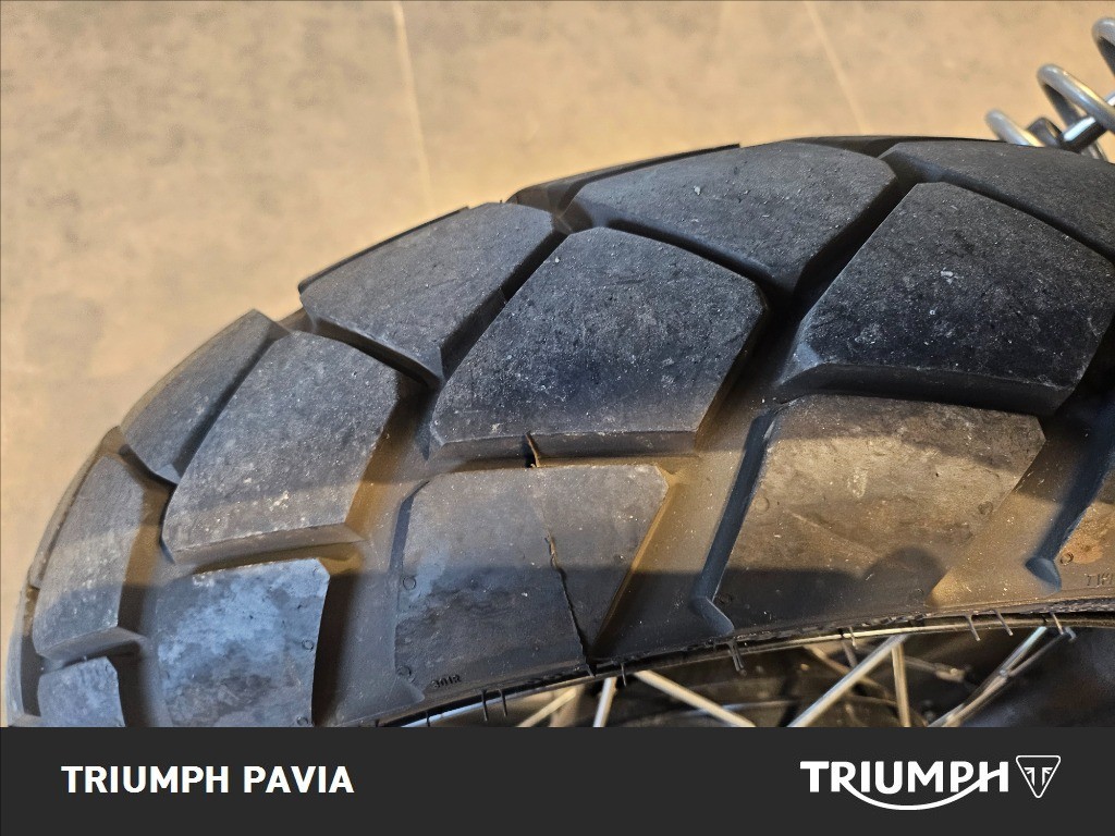 TRIUMPH Street Scrambler 900 