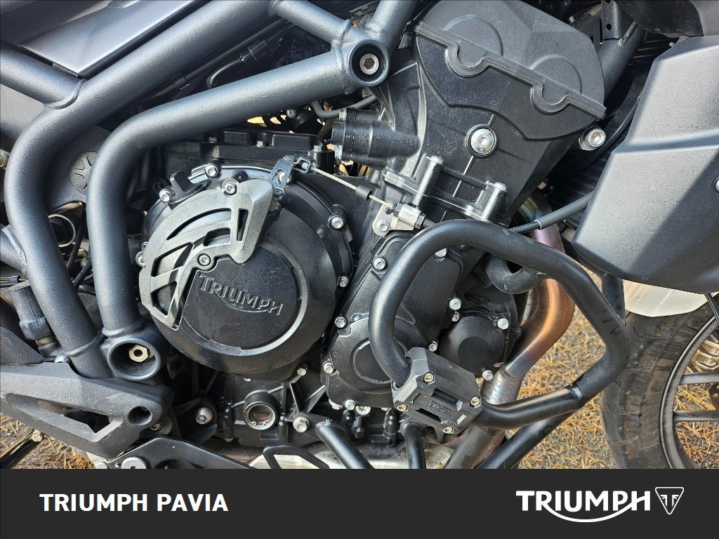 TRIUMPH Tiger 800 Abs