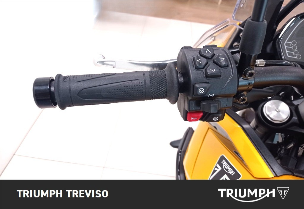 TRIUMPH Tiger Sport 800 Abs