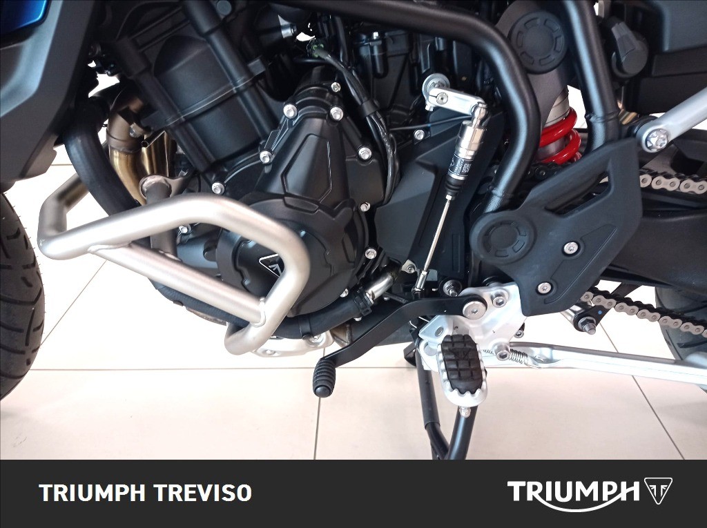 TRIUMPH Tiger 900 Alpine Edition