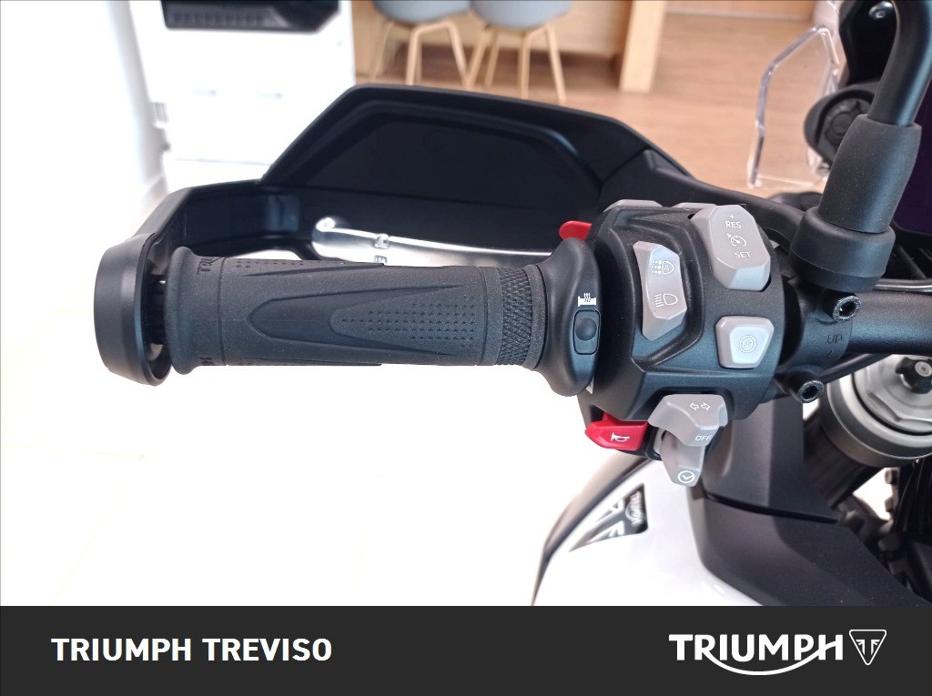 TRIUMPH Tiger 900 Alpine Edition
