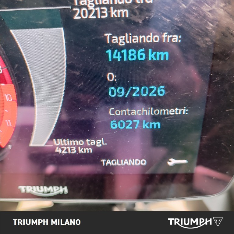 TRIUMPH Tiger 1200 GT Explorer Abs
