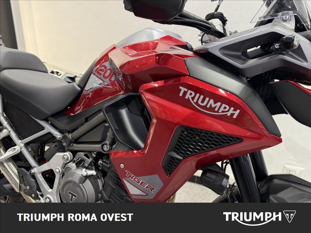 TRIUMPH Tiger 1200 GT Pro Abs