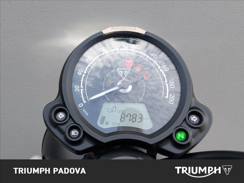 TRIUMPH Street Scrambler 900 