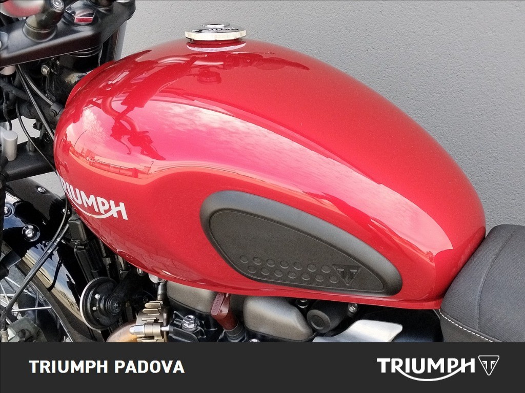 TRIUMPH Street Scrambler 900 
