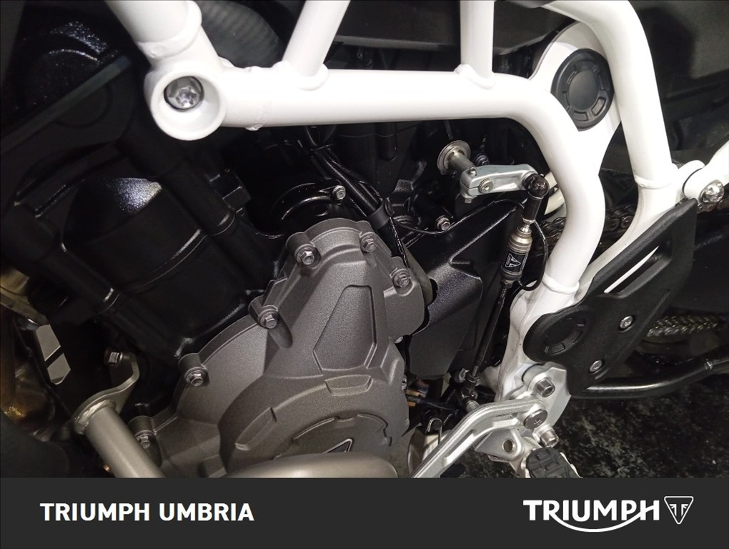 TRIUMPH Tiger 900 Rally Pro Abs