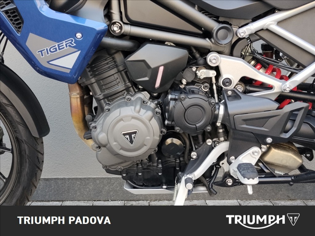 TRIUMPH Tiger 1200 GT Pro Abs
