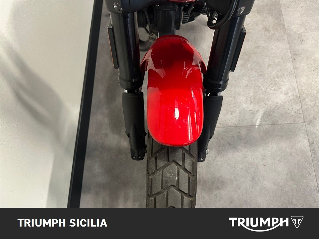 DUCATI Scrambler 800 Icon