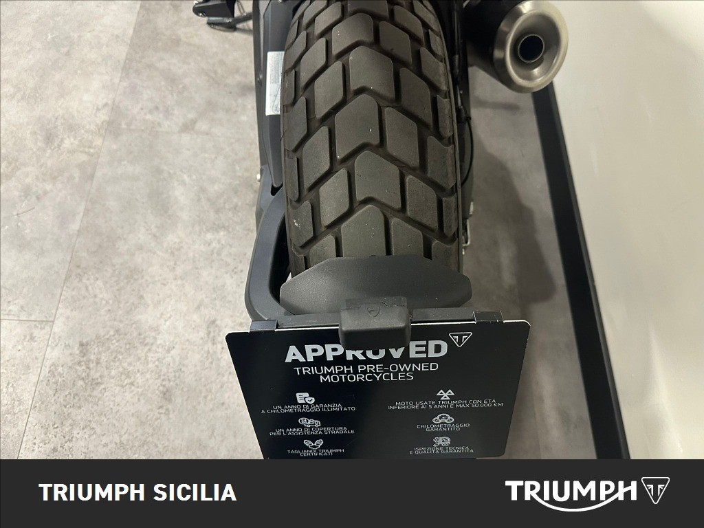 DUCATI Scrambler 800 Icon