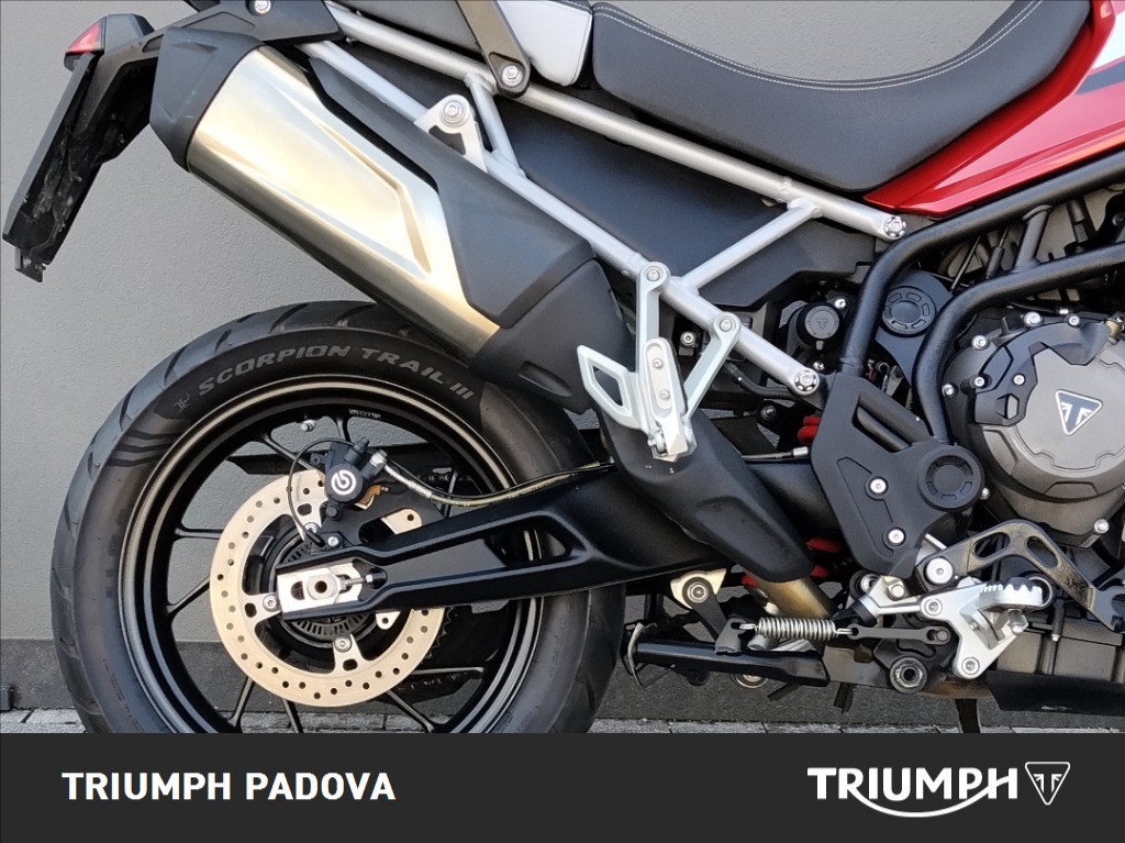 TRIUMPH Tiger 900 GT Pro Abs