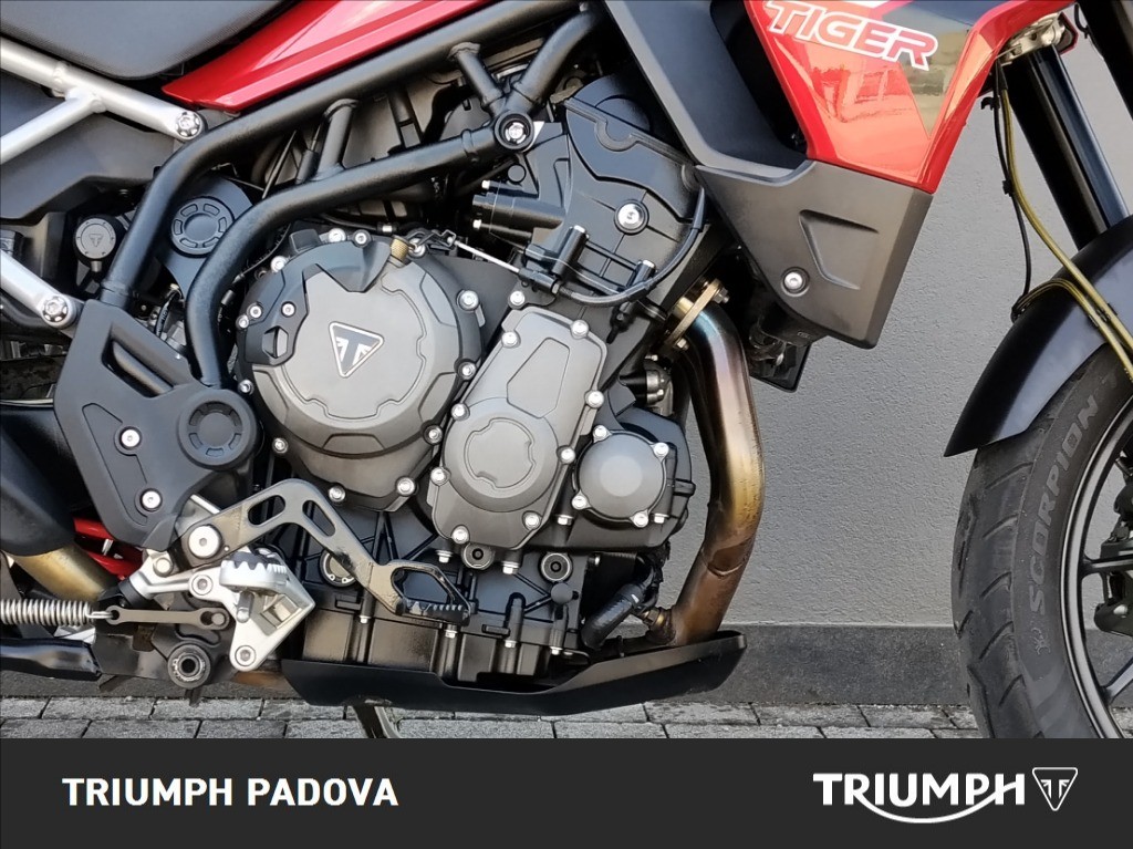 TRIUMPH Tiger 900 GT Pro Abs