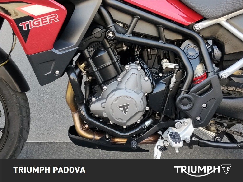 TRIUMPH Tiger 900 GT Pro Abs