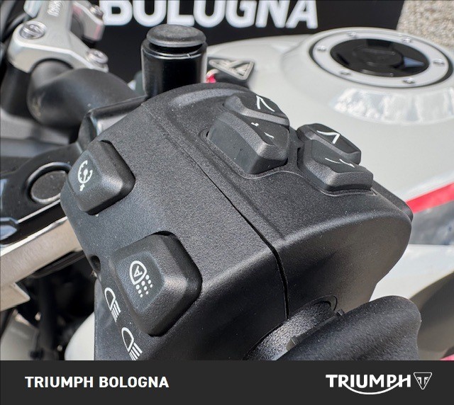 TRIUMPH Trident 800 Ash Grey Abs