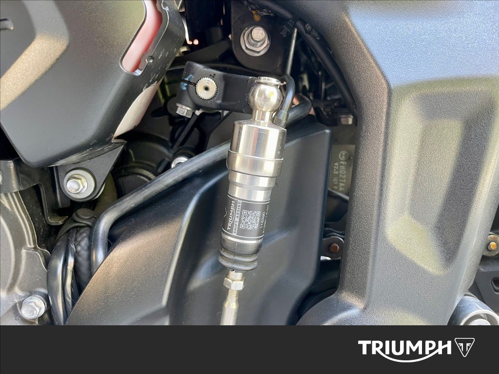 TRIUMPH Trident 660 Abs
