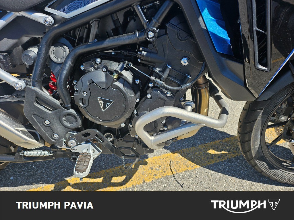 TRIUMPH Tiger 900 Alpine Edition