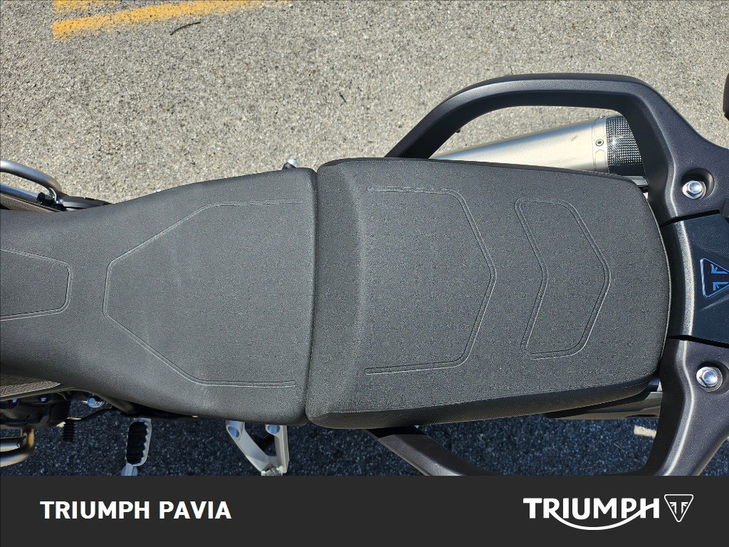 TRIUMPH Tiger 900 Alpine Edition
