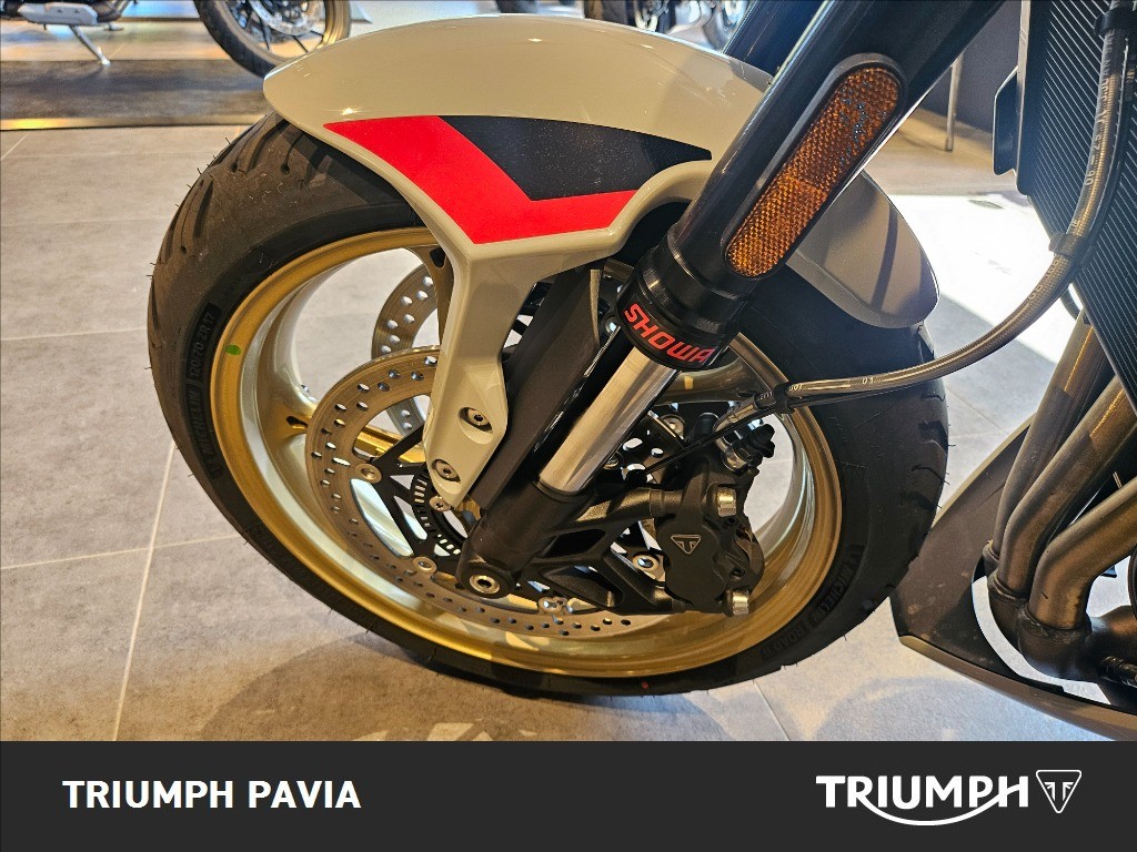 TRIUMPH Trident 800 Ash Grey Abs