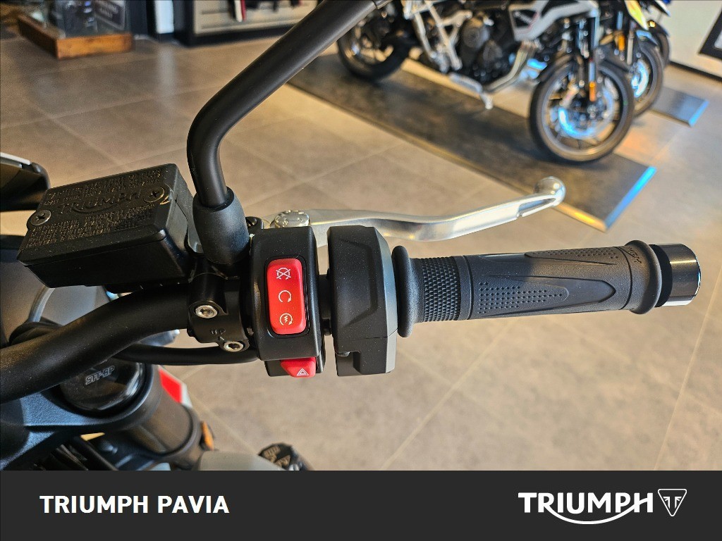 TRIUMPH Trident 800 Ash Grey Abs