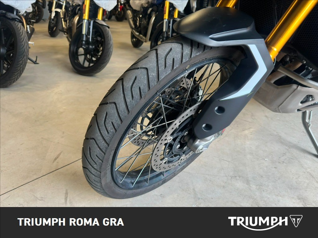 TRIUMPH Tiger 900 Rally Pro Abs
