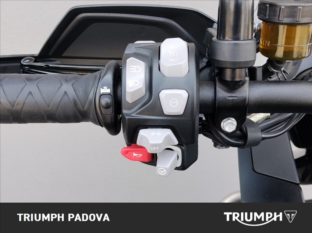 TRIUMPH Tiger 1200 Rally Pro Abs