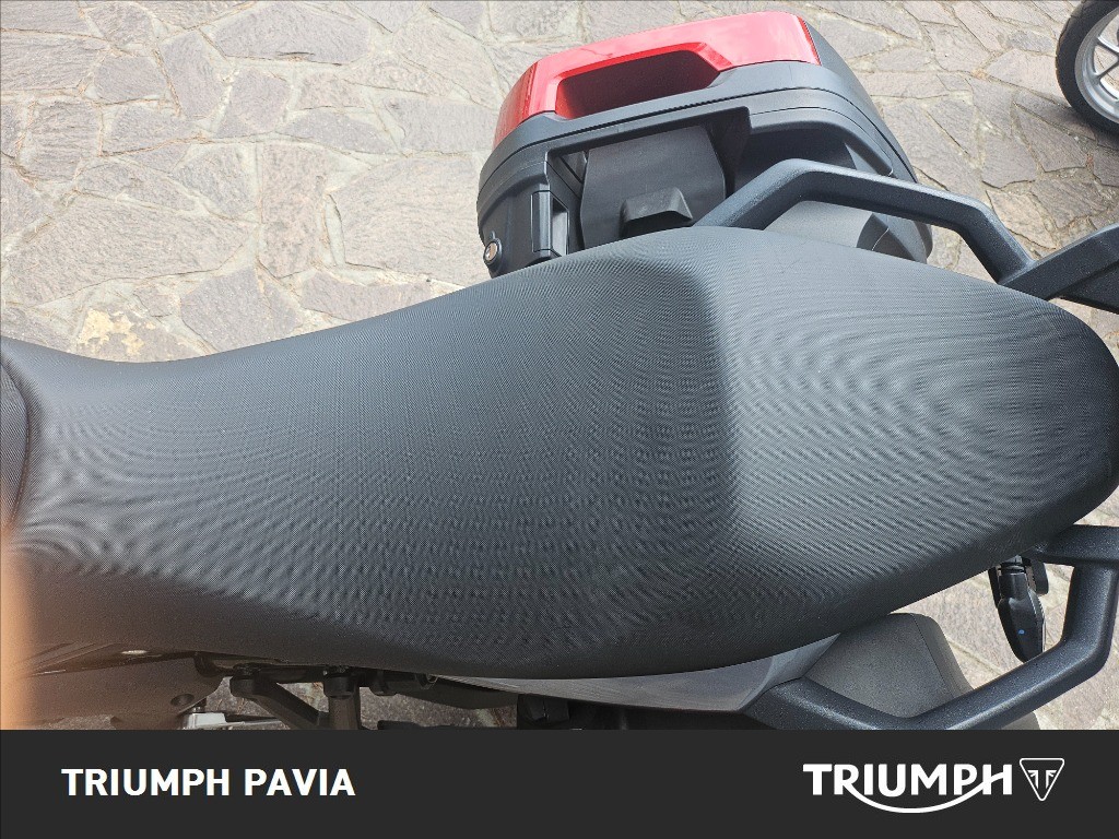 TRIUMPH Tiger Sport 660 Abs