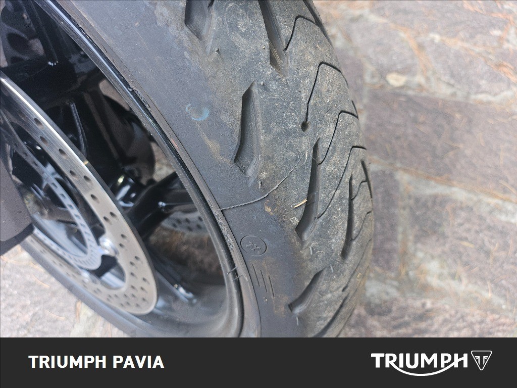 TRIUMPH Tiger Sport 660 Abs