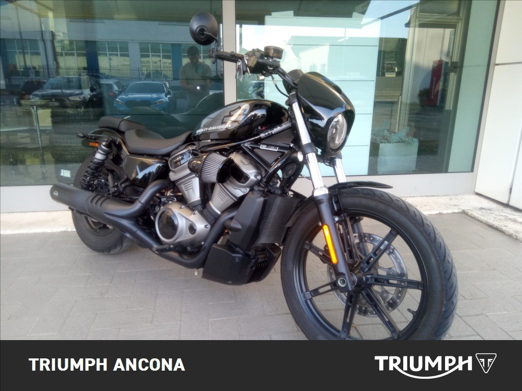 HARLEY-DAVIDSON 975 Nightster Color