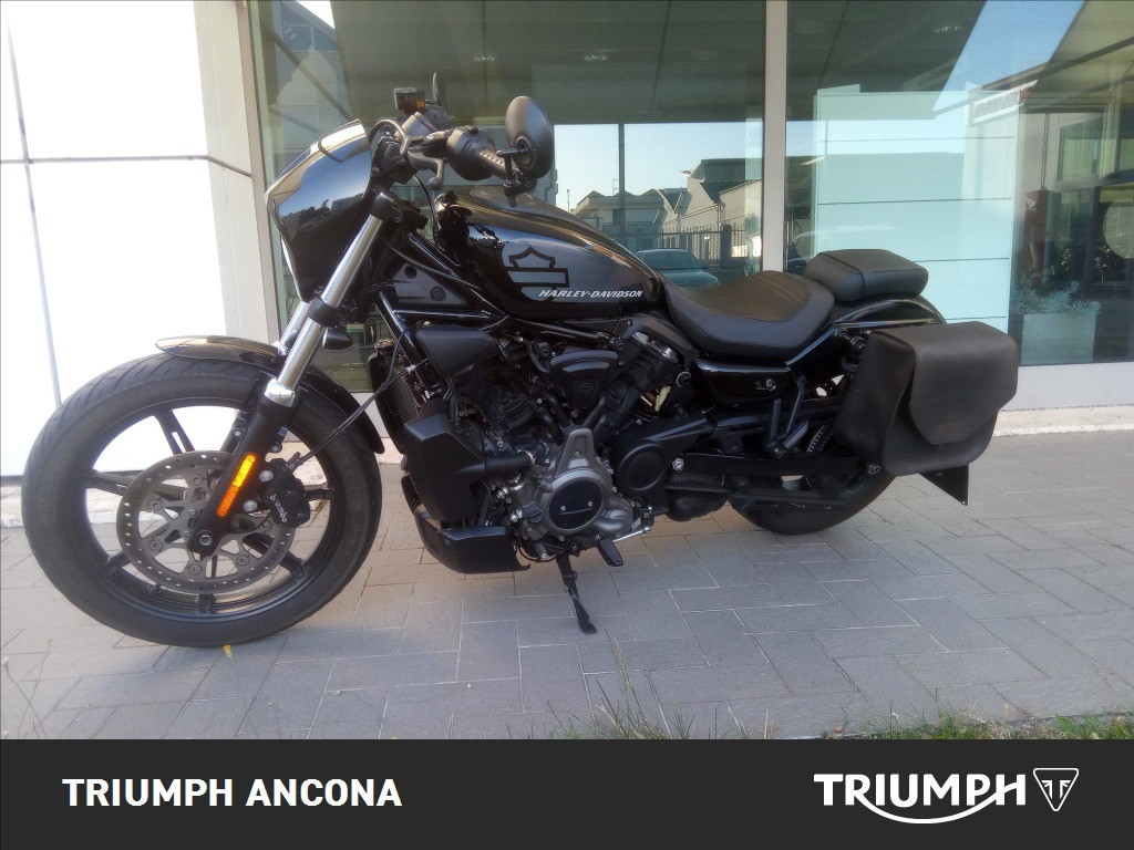 HARLEY-DAVIDSON 975 Nightster Color