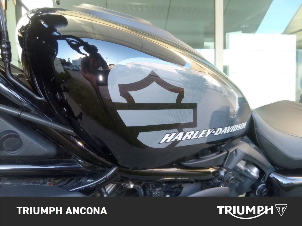 HARLEY-DAVIDSON 975 Nightster Color