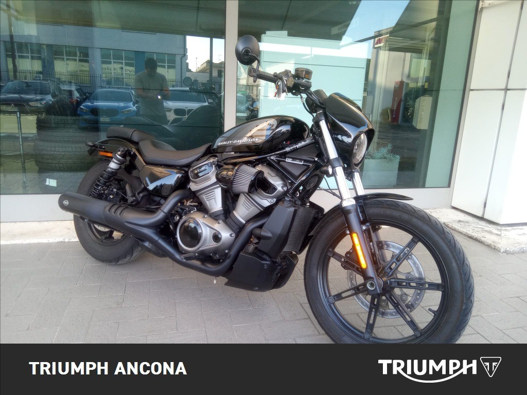 HARLEY-DAVIDSON 975 Nightster Color