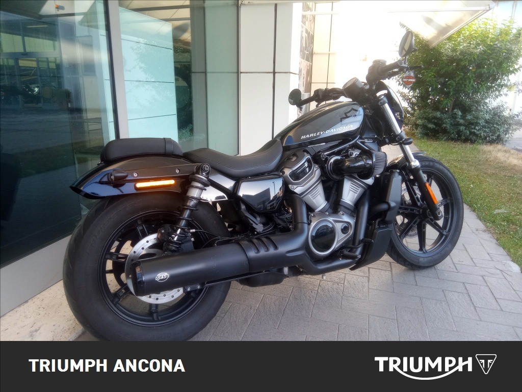 HARLEY-DAVIDSON 975 Nightster Color
