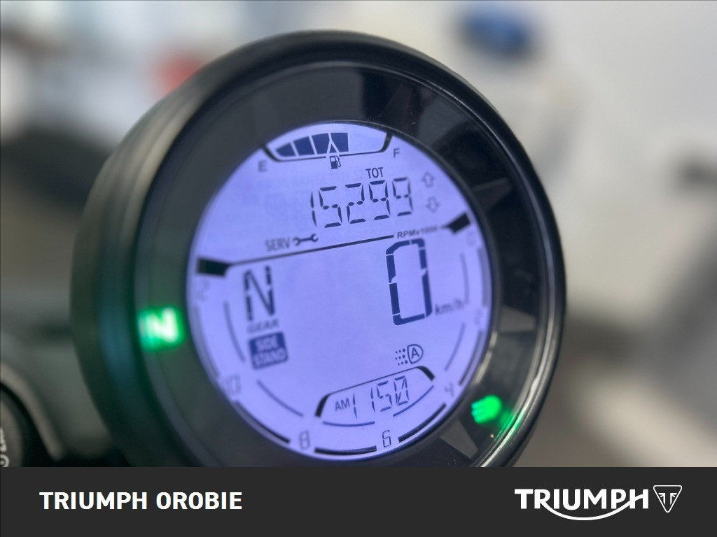 DUCATI Scrambler 800 Icon