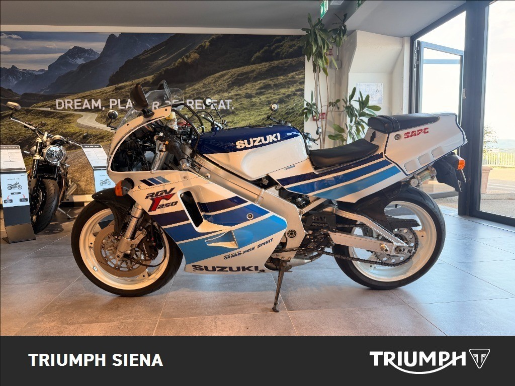 SUZUKI RGV 250 