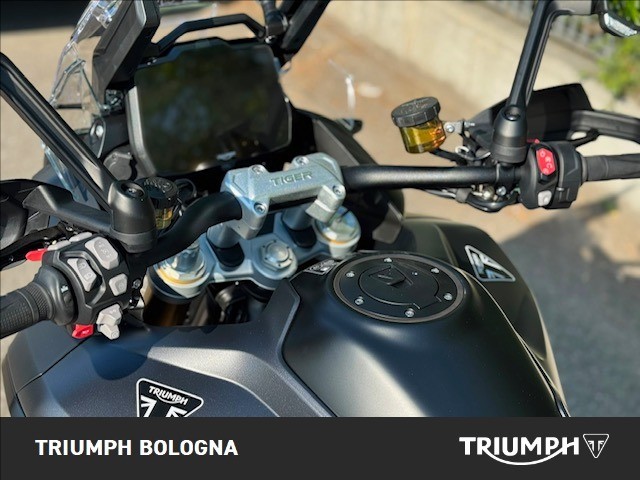TRIUMPH Tiger 1200 Alpine Edition
